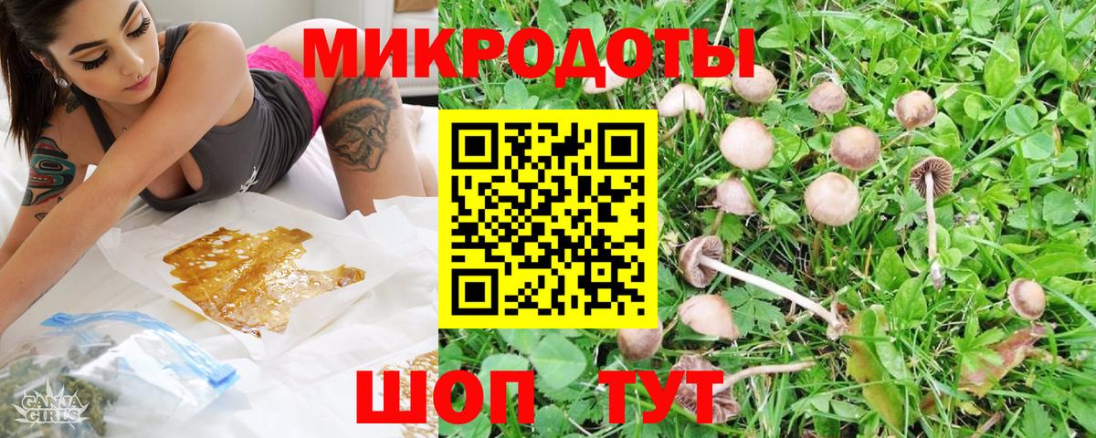 Псилоцибиновые грибы Cubensis Можга