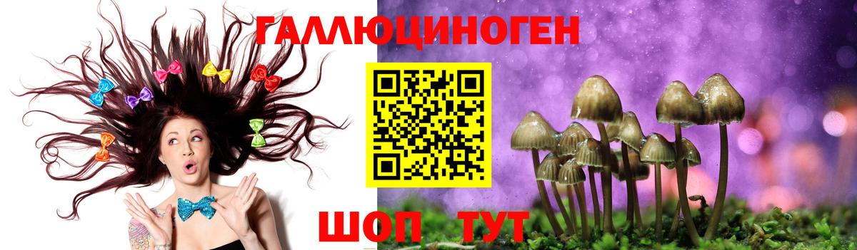 Псилоцибиновые грибы прущие грибы  Псилоцибиновые грибы прущие грибы  Вход с VPN  Можга 